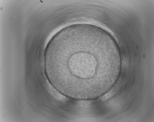 X0000061141514200512091921