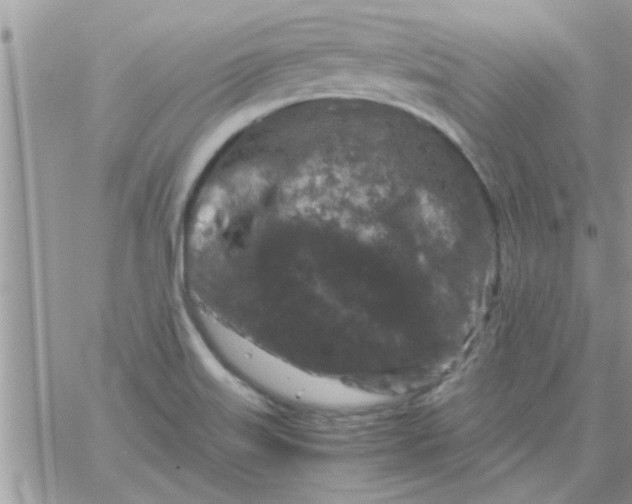 X0000061141515200512091921