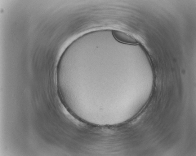 X0000061141516200512091921