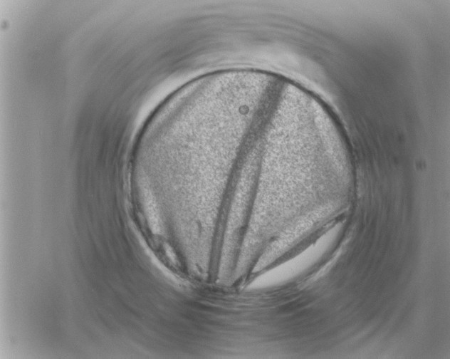 X0000061141517200512091921