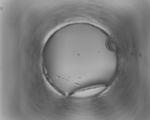 X0000061141518200512091921