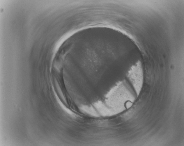 X0000061141519200512091921