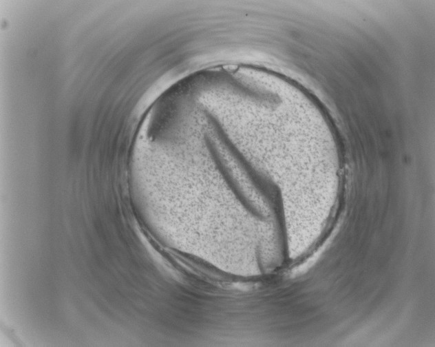 X0000061141521200512091921