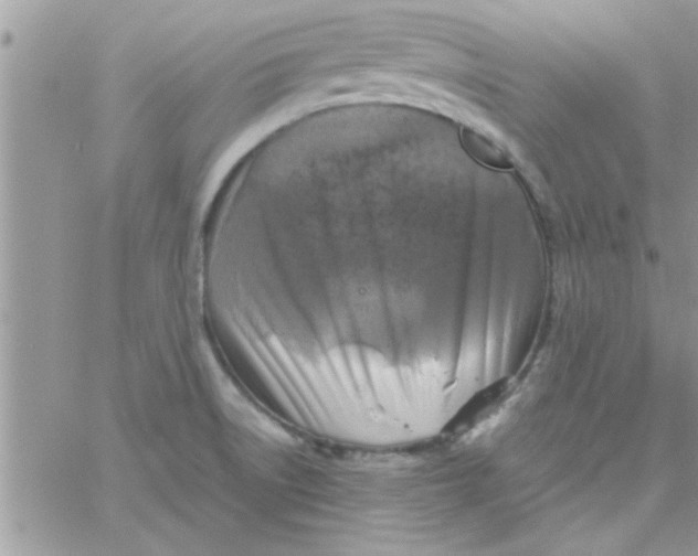 X0000061141522200512091921