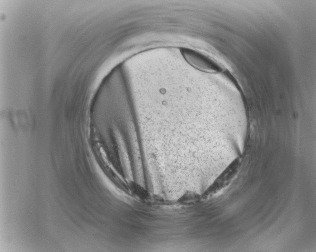 X0000061141523200512091921