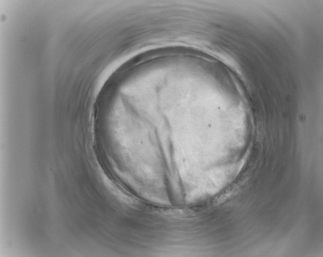 X0000061141524200512091921