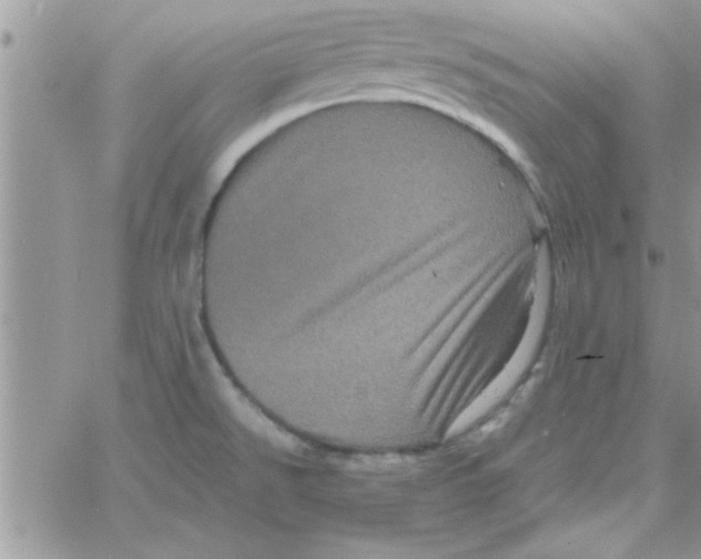 X0000061141526200512091921