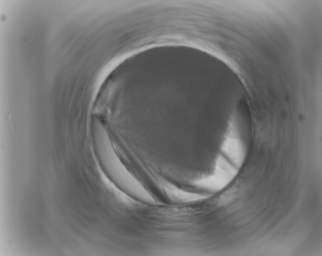 X0000061141527200512091921