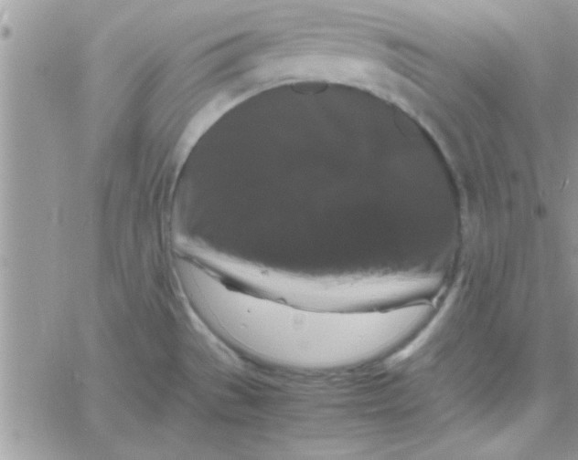 X0000061141529200512091921