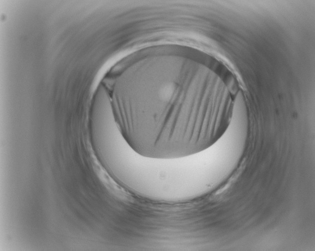 X0000061141530200512091921