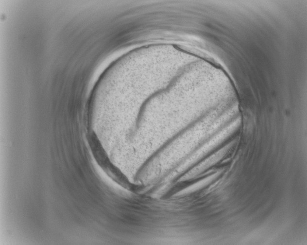 X0000061141531200512091921