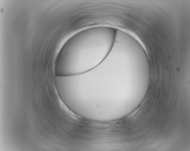 X0000061141532200512091921