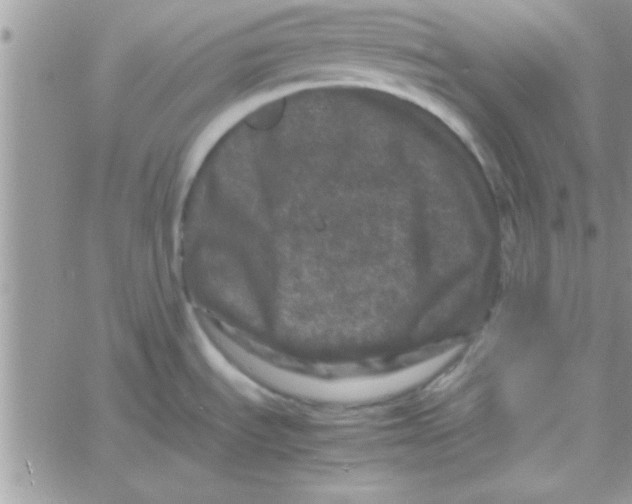 X0000061141535200512091921