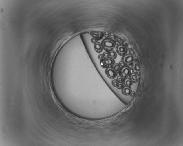 X0000061140001200512161542