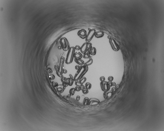 X0000061140005200512161542