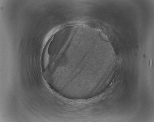 X0000061140006200512161542