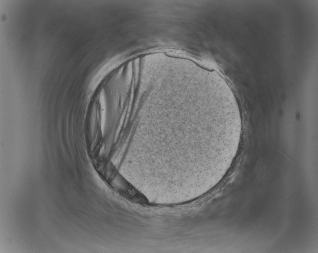 X0000061140007200512161542