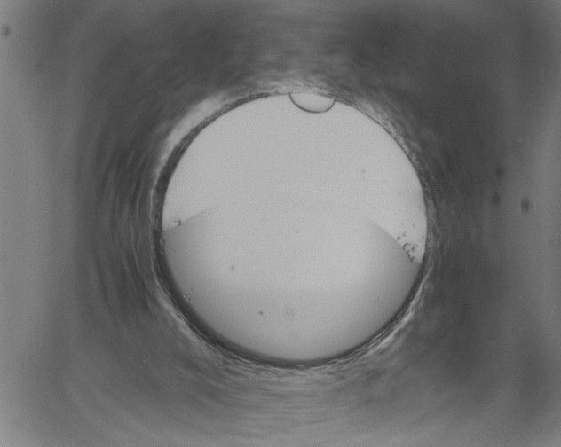 X0000061140008200512161542