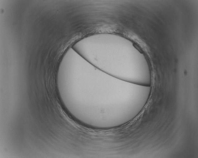 X0000061140009200512161542