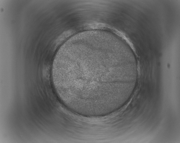 X0000061140010200512161542