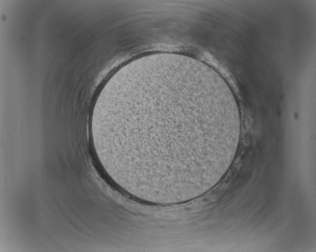 X0000061140011200512161542