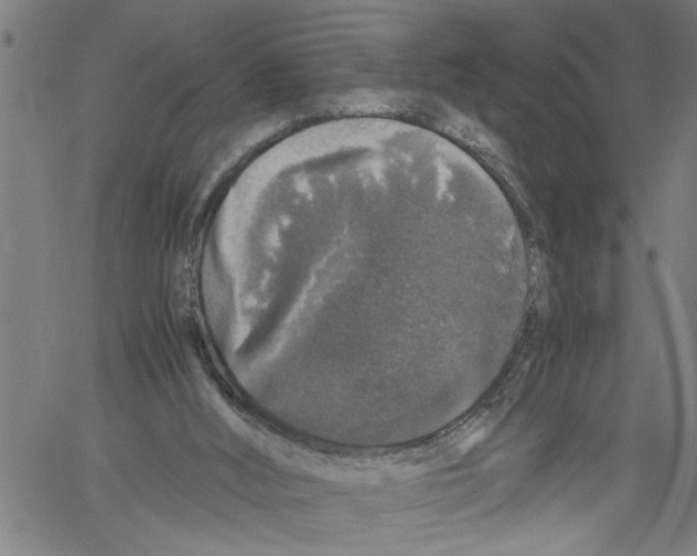 X0000061140012200512161542