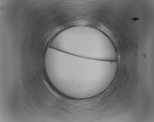 X0000061140013200512161542