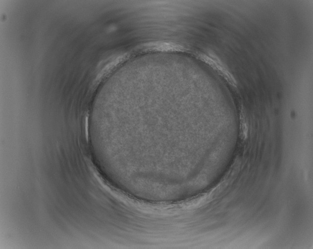 X0000061140014200512161542