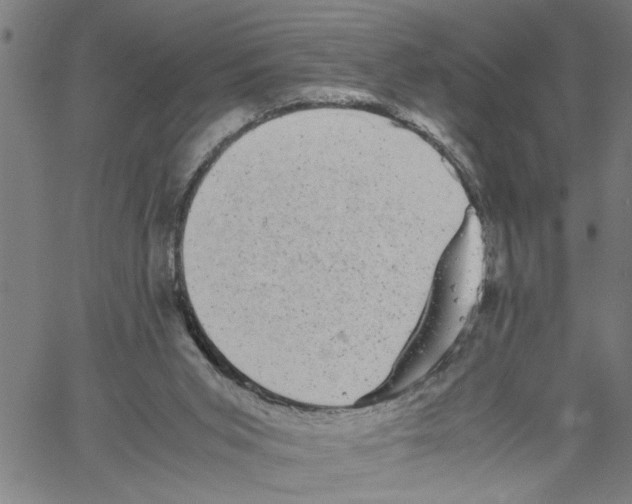 X0000061140015200512161542