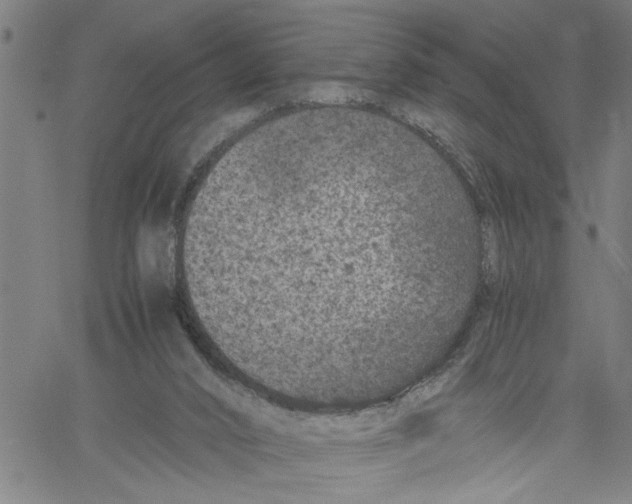 X0000061140016200512161541