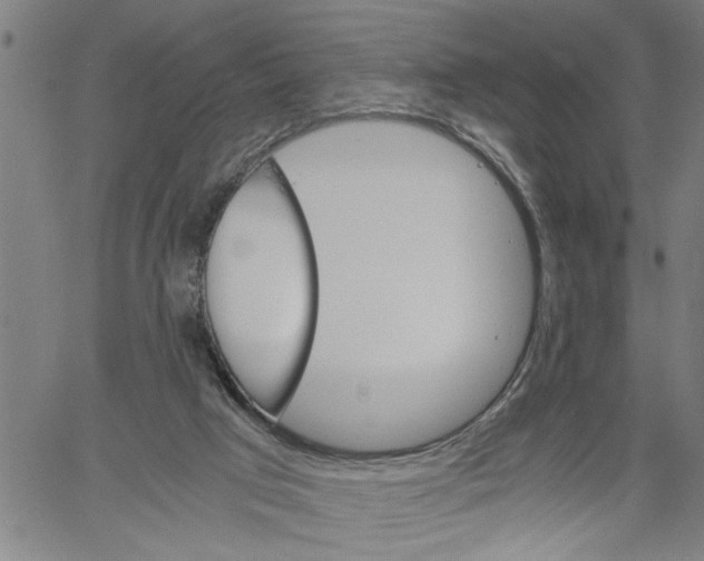 X0000061140017200512161541