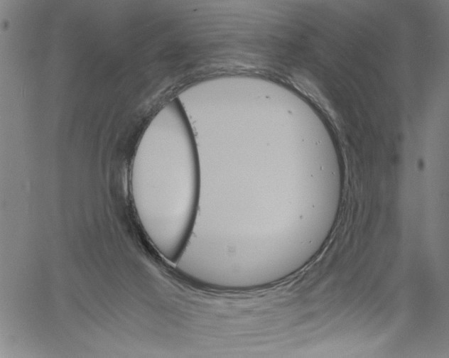 X0000061140021200512161541