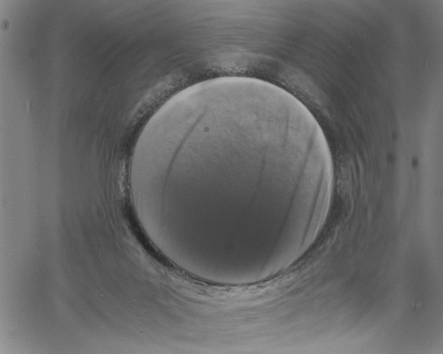 X0000061140023200512161541