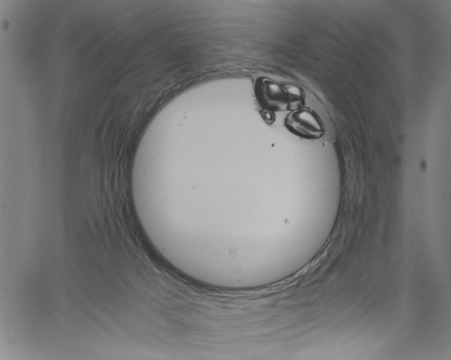 X0000061140025200512161541