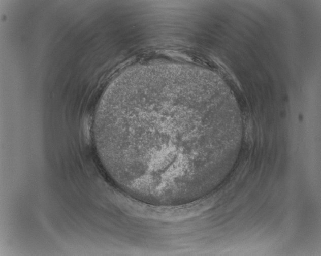 X0000061140026200512161541