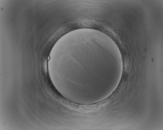 X0000061140027200512161541