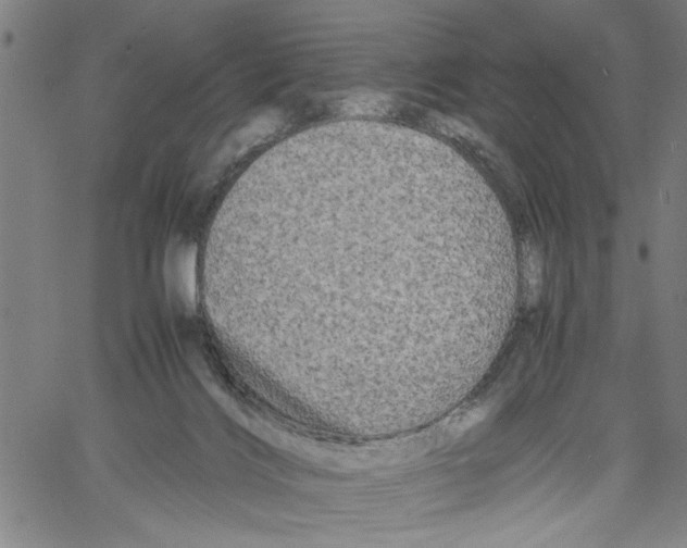 X0000061140028200512161541