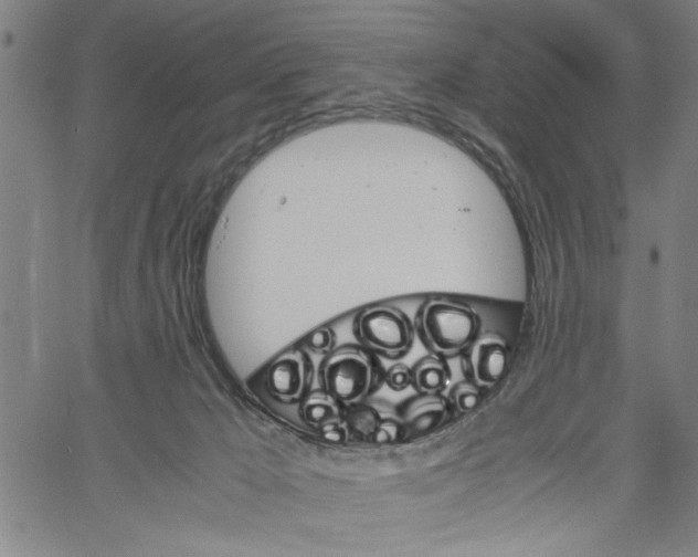 X0000061140029200512161541