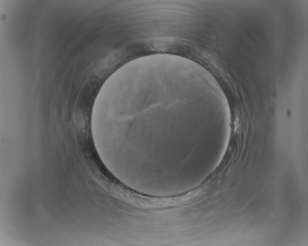 X0000061140031200512161541