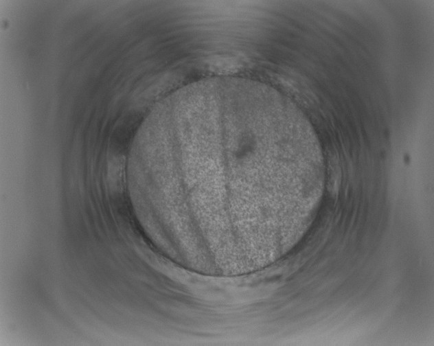 X0000061140034200512161541