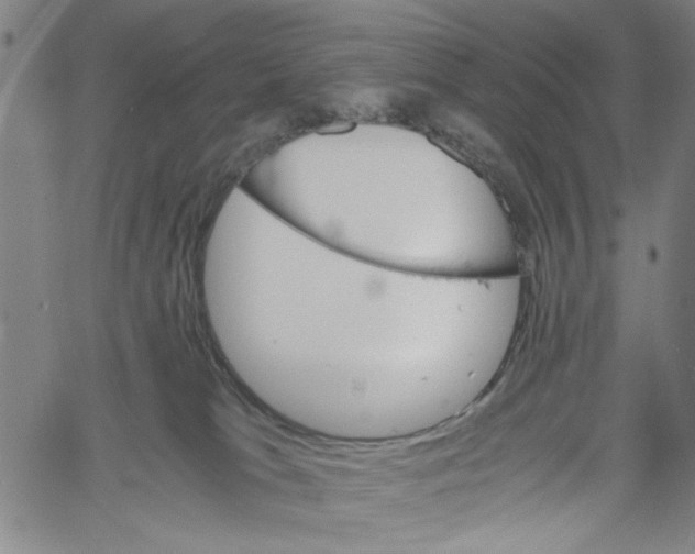 X0000061140037200512161541