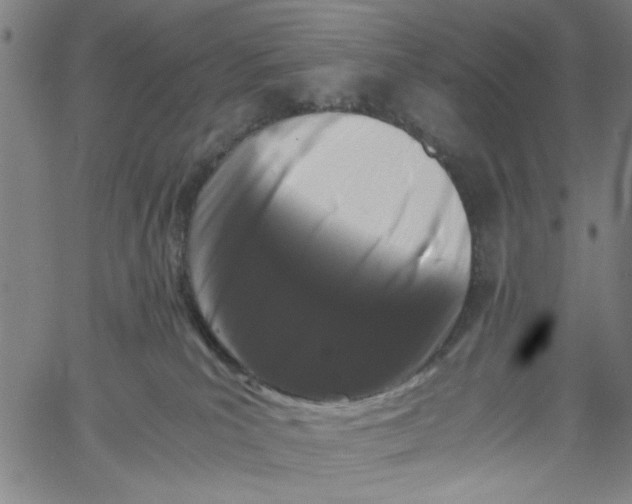 X0000061140039200512161541