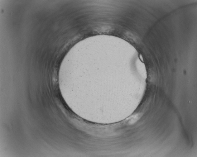 X0000061140040200512161541