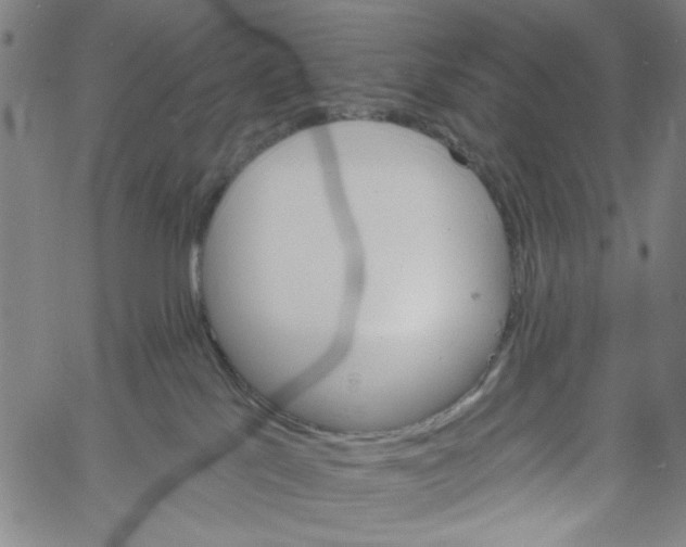 X0000061140041200512161541