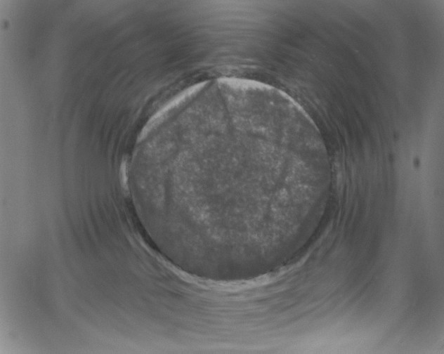 X0000061140042200512161541