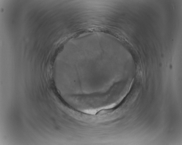 X0000061140043200512161541