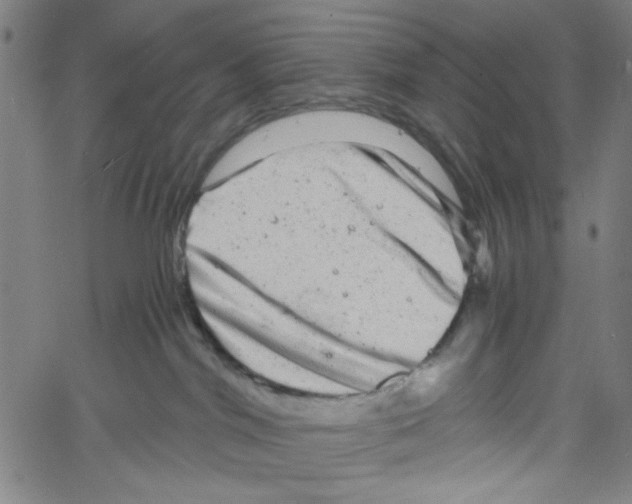 X0000061140044200512161541