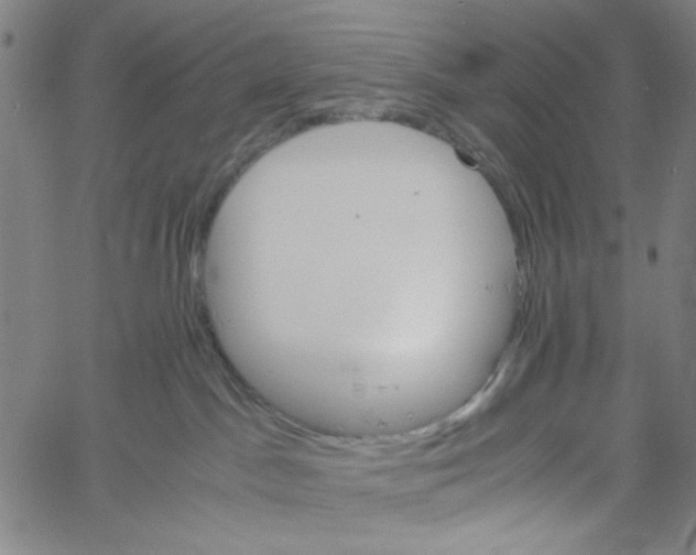 X0000061140045200512161541