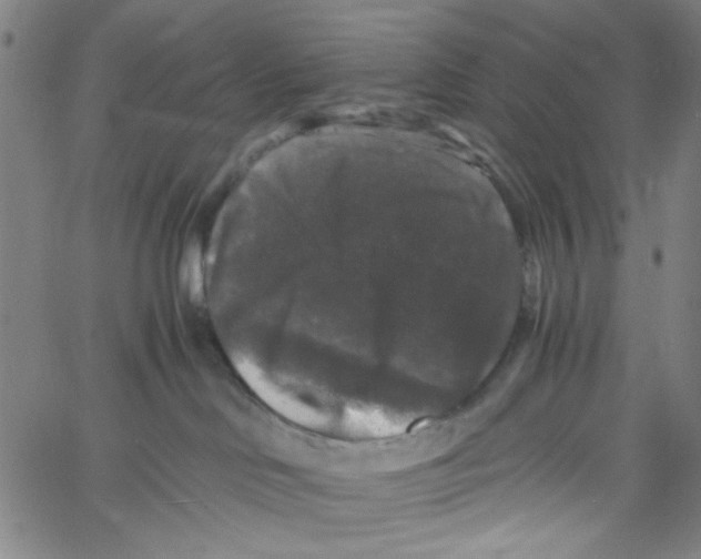 X0000061140046200512161541