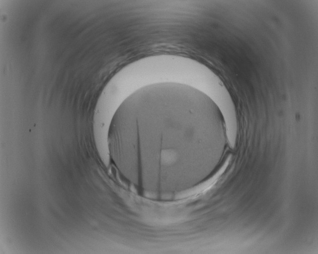 X0000061140047200512161541